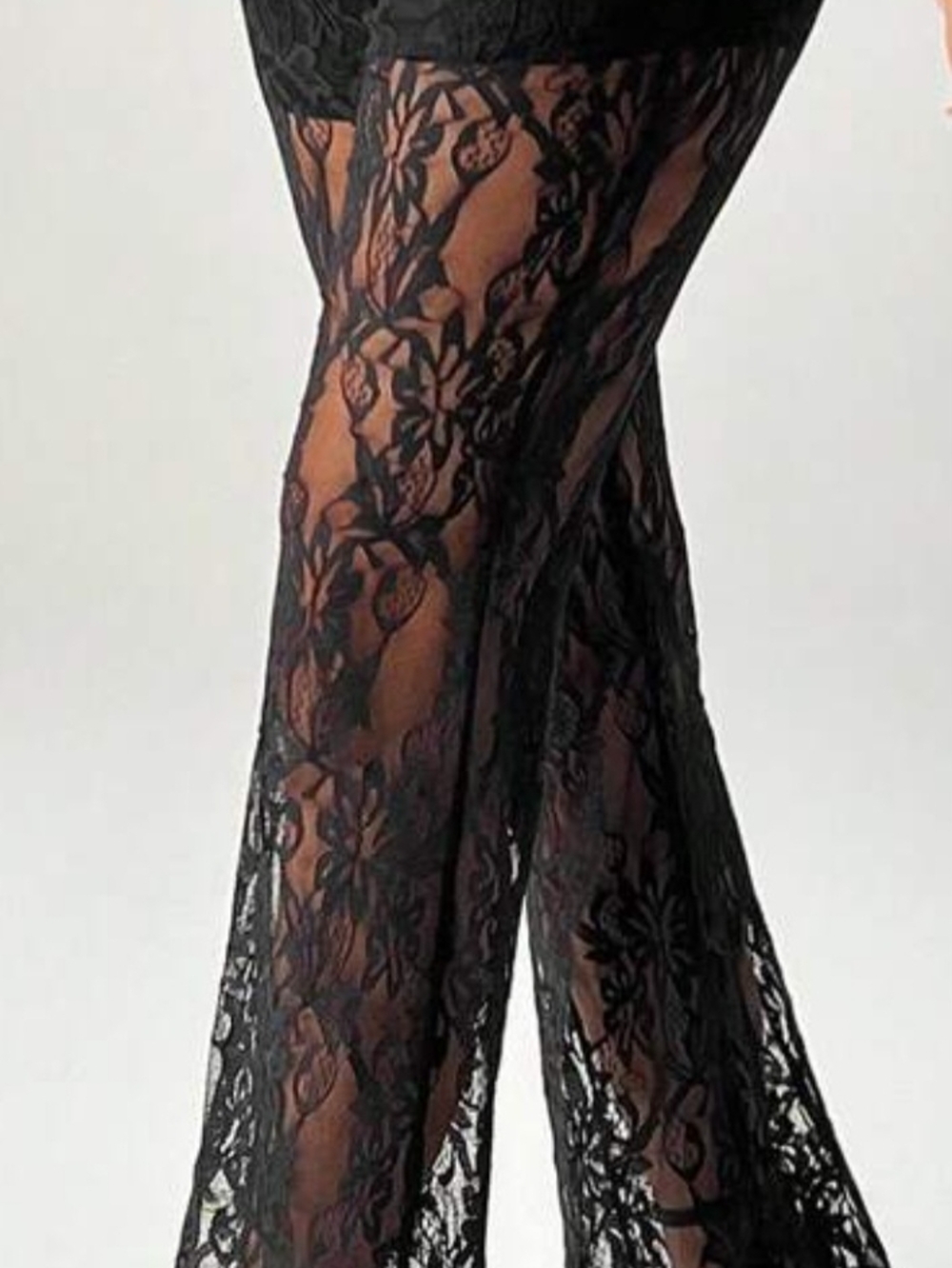 Elegant Black Curvy Sheer Lace Pants.